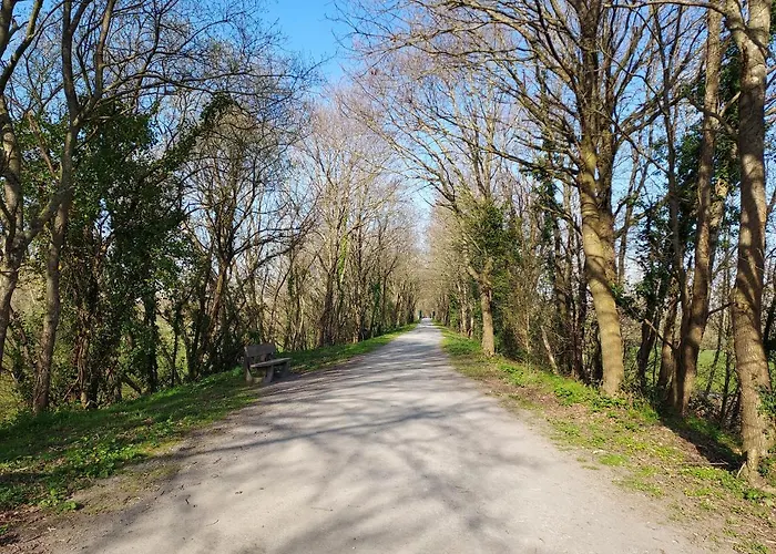 La Clé Du Génie * Ducey-Les Cheris