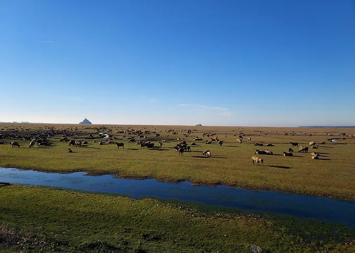 Appartamento La Clé Du Génie Ducey-Les Cheris